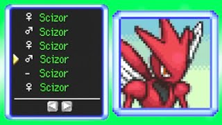 They made a Pokémon Mystery Dungeon Randomizer [upl. by Florin]