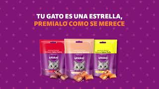 NUEVO Whiskas® Snacks [upl. by Ahsercul]