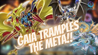 Best Gaia the Fierce Knight Deck Tramples the META  YuGiOh Master Duel [upl. by Newfeld]