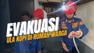 UVLOG 03  EVAKUASI ULA DI RUMAH WARGA [upl. by Audley879]