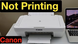 Canon Printer Not Printing [upl. by Grayson]