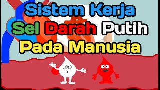 PEMBUATAN VIDEO PEMBELAJARAN SISTEMKERJA SEL DARAH PUTIH PADA MANUSIA [upl. by Arakaj]