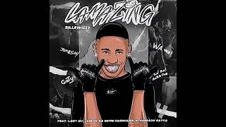 LamaZing Zillewizzy feat Lady Du [upl. by Mencher]