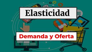 Elasticidad de la Demanda y de la Oferta 🏭 🛒 📈 [upl. by Tymes]