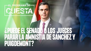 ¿Puede el Senado o los jueces parar la amnistía de Sánchez y Puigdemont [upl. by Tutankhamen291]