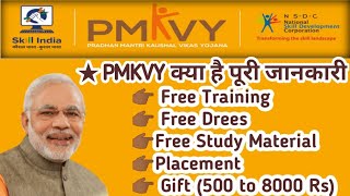 What is PMKVY  PMKVY kya hai  Full information about PMKVY  PMKVY Course list [upl. by Singh930]