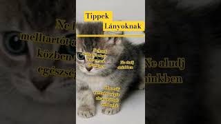 Tippek lányoknak love [upl. by Sipple224]