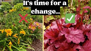 Removing DayLillies Planting Heucheras here’s why   HEUCHERA VARIETIES [upl. by Meil]