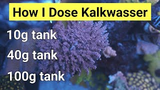 How I Dose Kalkwasser On All My Tanks 100g 40g amp 10g [upl. by Aramak]