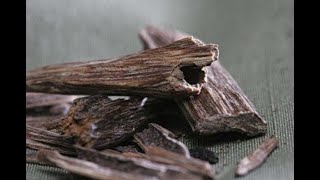 Health Benefits of Agarwood [upl. by Fricke584]