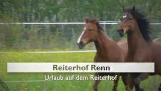 Reiten in Rheinland Pfalz Ferienwohnung Limburg an der Lahn Reiterhof Renn [upl. by Adnoloy]