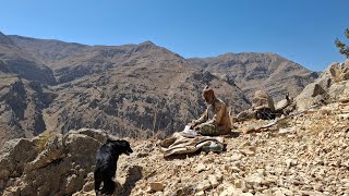 Iran nomadic life Jahangirs journey to the new pastures of the mountains to graze sheep [upl. by Arraek]