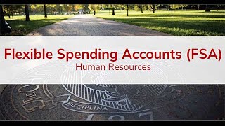 Flexible Spending Accounts [upl. by Martita]