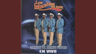 Los Amigos del M En Vivo [upl. by Champagne]