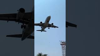 Pouso do Airbus A319 da Latam vindo de Belo Horizonte em Congonhas Aeroporto de São Paulo CGH [upl. by Corty]