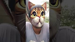 Ringtones funny shortvideo funnyvideo comedy [upl. by Nodnart]