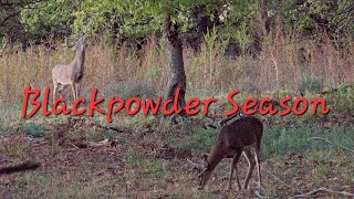 Deer Hunting Oklahoma  Blackpowder Season  Wildlife Photography [upl. by Erdrich614]