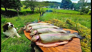 SECRETS OF WILD CUISINE Catch Trout with HANDS and Cook in the Wilderness  ASMR Relaxing [upl. by Lertnek346]