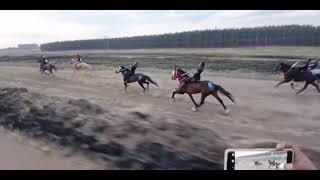 Mpumalanga Daggakraal Grade 1 08092024 traditionalhorseracing horse horseracing horseriding [upl. by Tammara]