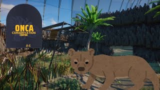 Madagascar Dome in Tsingy Mountians  Fossa Habitat  Onca Wildlife Centre  Planet zoo  4 [upl. by Nadbus]