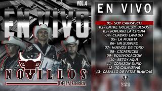 Novillos de la Sierra  En Vivo Vol4  2021 DISCO COMPLETO [upl. by Hnoj]