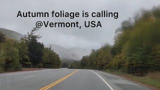 Autumn foliage  Vermont on 26th Sept 2024  shorts ytshorts autumn fall [upl. by Gaelan]