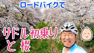 ロードバイクで サドル初乗り と 桜【ぶらぶらツーリング】Selle Italia NOVUS BOOST EVO [upl. by Amak]