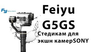 FeiyuTech G5GS новый стабилизатор для экшн камер SONY [upl. by Lidaa256]