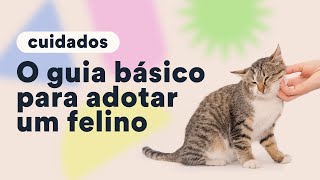 O que fazer antes de adotar um gato  Petz TV Cuidados [upl. by Ainalem884]