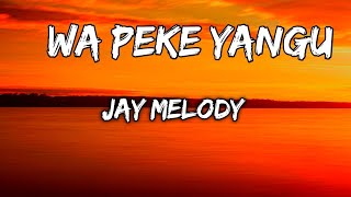 Jay Melody  Wa peke yangu  Lyrics Video [upl. by Gavrilla]