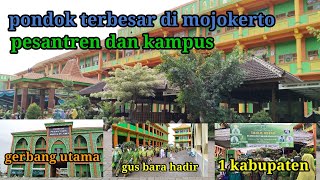 GUS BARA DATANG KUBRO SE KABUPATEN [upl. by Suoivatra]