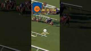 🔵🟠LAKE VICTORIA Is too good in The Breeders Cup [upl. by Clara]