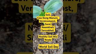 Healthy Soil Mix pottingmix worldsoilday plants gardening sand cowdungcompost vermicompost [upl. by Epuladaug]