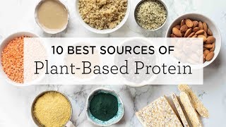 10 BEST PlantBased Protein Sources  a FREE printable [upl. by Schafer]