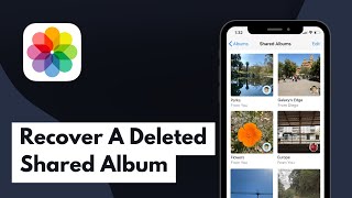 How To Recover A Deleted Shared Album 2024 [upl. by Lerrad]