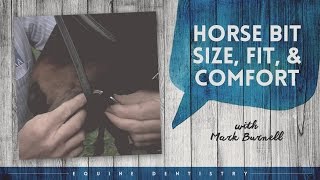 Equine Dentistry  Horse Bit Size Fit amp Comfort with Equine Dentist Mark Burnell  Horseland [upl. by Staci]