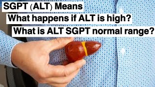 SGPT ALT Means  What happens if ALT is high  What is ALT SGPT normal range  SGPT ALT Liver enzyme [upl. by Aland911]