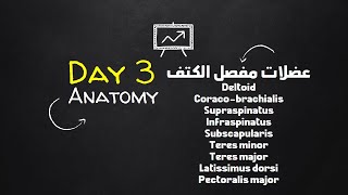 05  Shoulder joint Rotator cuff muscles other muscles bones spots شرح عربي [upl. by Phail]