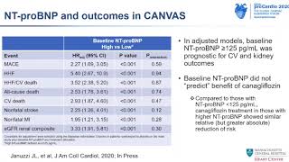 Reducing HF hospitalisation with Prof Hani Sabbour [upl. by Lyrehs]