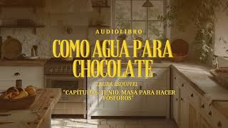 Como agua para chocolate  AUDIOLIBRO  Capítulo 6 Junio Masa para hacer fósforos [upl. by Eiznik]