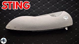 Herman Sting Folding Knife  Overview and Review [upl. by Sumer]