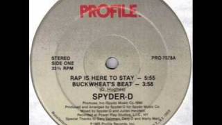 SpyderD  Rap Is Here To Stay Instrumental [upl. by Hirsh174]