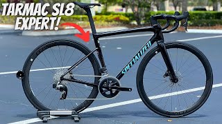 6500 SPECIALIZED TARMAC SL8 EXPERT IS THIS THE BEST MODEL TO BUY [upl. by Fox]