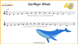 Sea Major Whale  French Horn Solo with Sheet Music and Play Along [upl. by Anitsirhcairam]