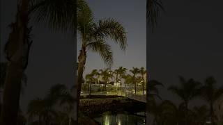 romantic relaxing california usa shorts калифорния сша [upl. by Jit79]