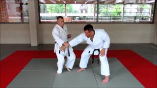 Heian Shodan  Pinan Nidan Drills [upl. by Tirb]