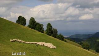 Rasinari Sibiu [upl. by Aneloj]