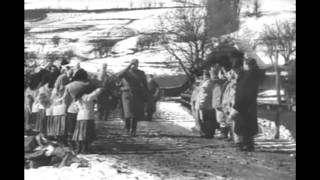 Polish  Hungarian border in March 1939  chronicle [upl. by Ellekram522]