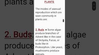 Asexual Reproduction IN PLANTS Class 12 Biology Chapter 1 [upl. by Narag907]