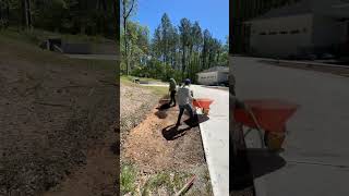 Transform Your Yard with Sod [upl. by Stuckey]